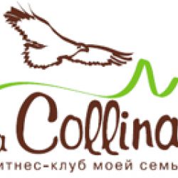 Бассейн фитнес-клуба La Collina